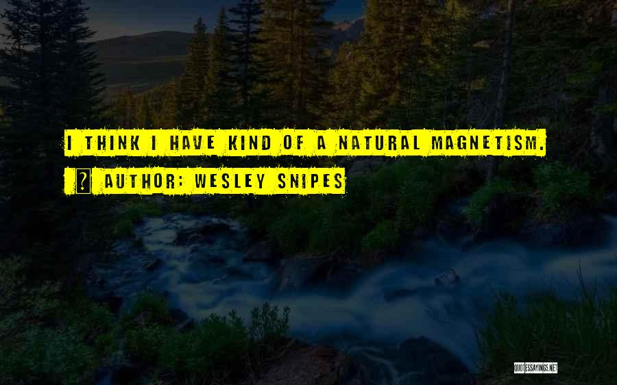 Wesley Snipes Quotes: I Think I Have Kind Of A Natural Magnetism.