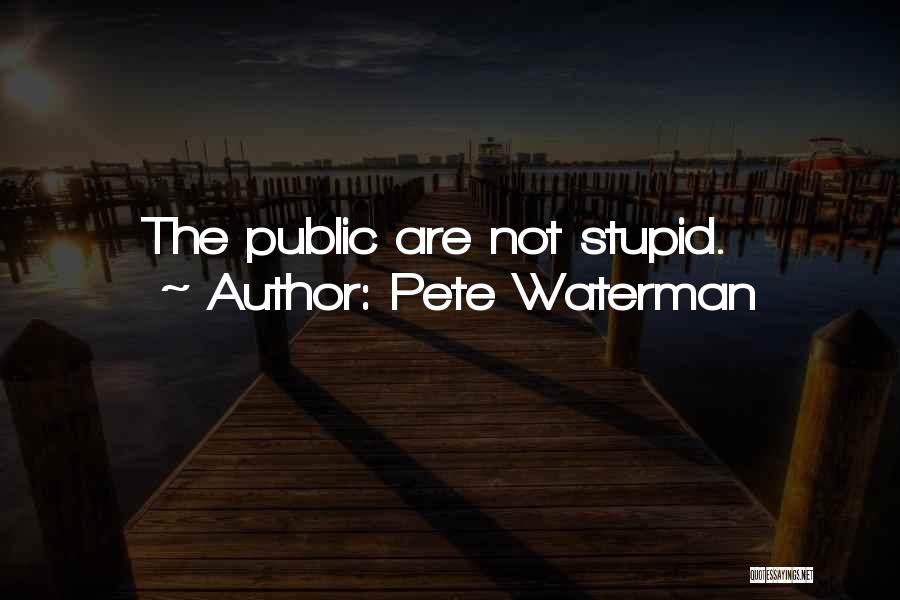 Pete Waterman Quotes: The Public Are Not Stupid.