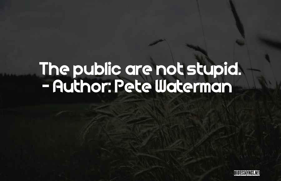 Pete Waterman Quotes: The Public Are Not Stupid.