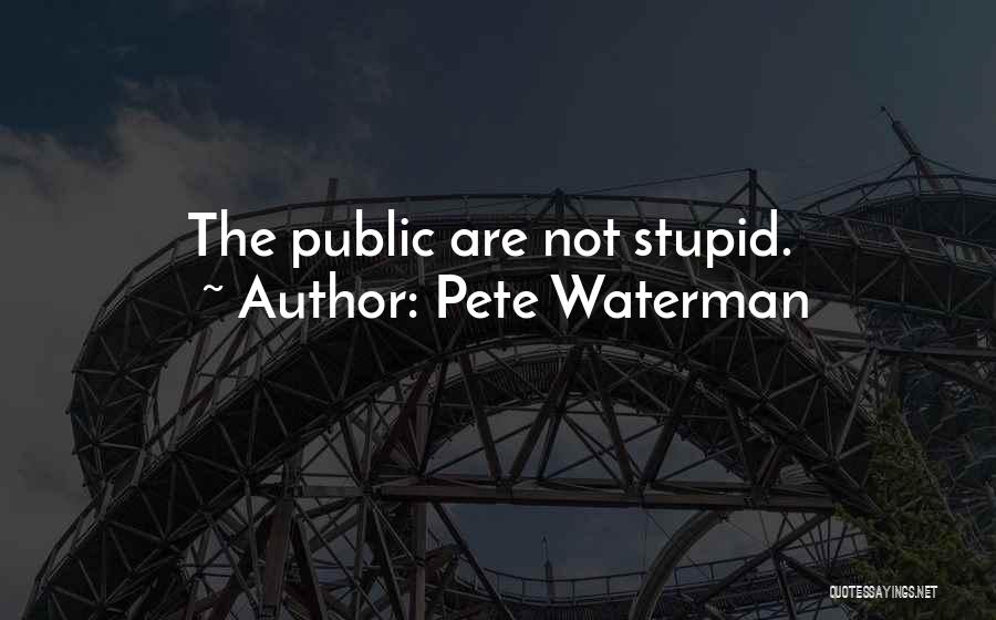 Pete Waterman Quotes: The Public Are Not Stupid.