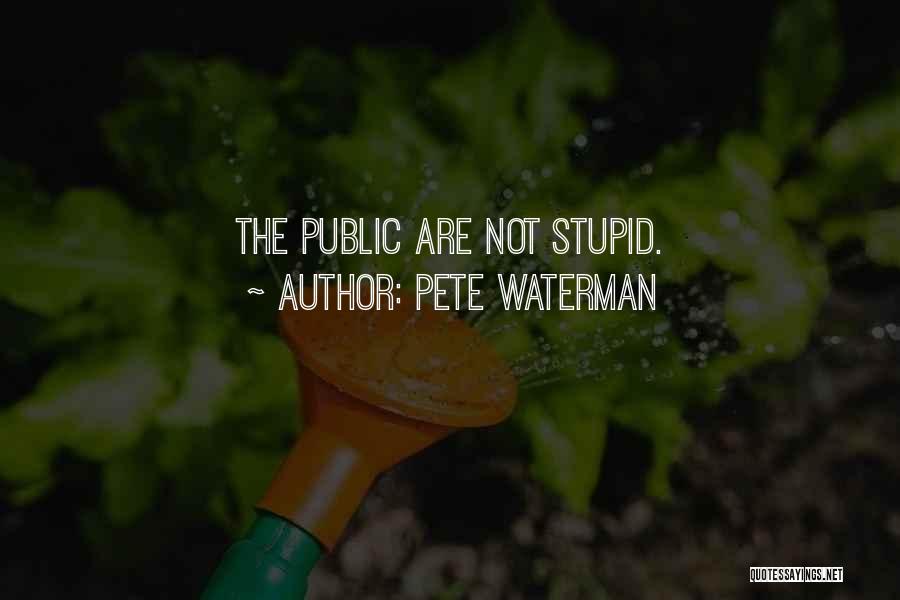 Pete Waterman Quotes: The Public Are Not Stupid.