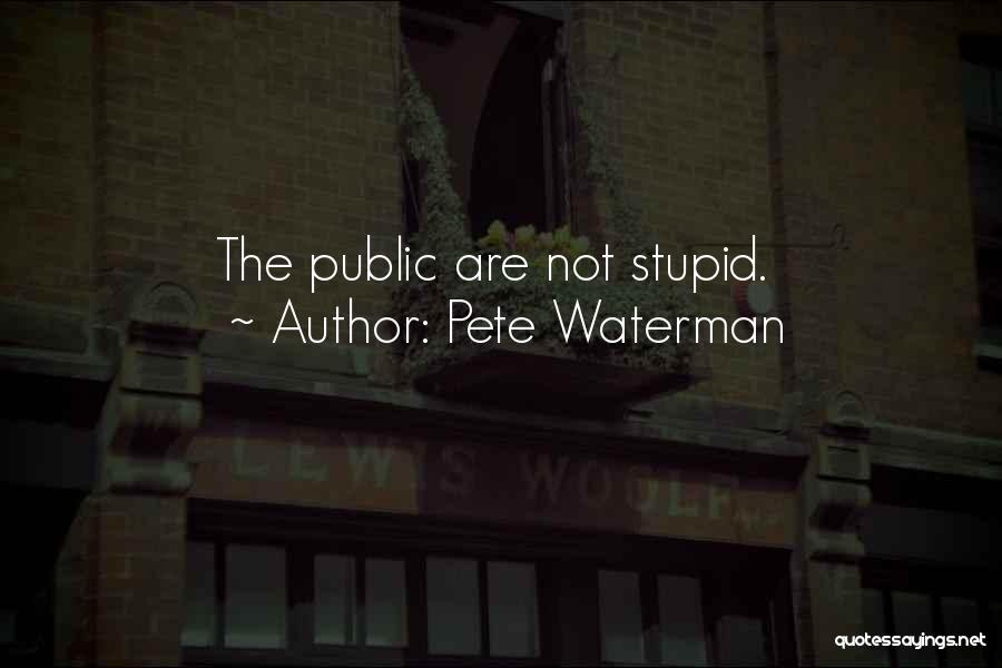 Pete Waterman Quotes: The Public Are Not Stupid.