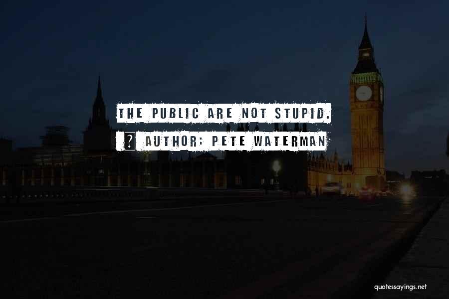 Pete Waterman Quotes: The Public Are Not Stupid.