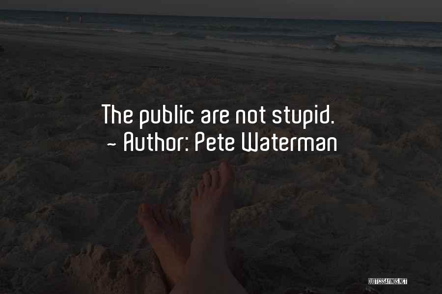 Pete Waterman Quotes: The Public Are Not Stupid.