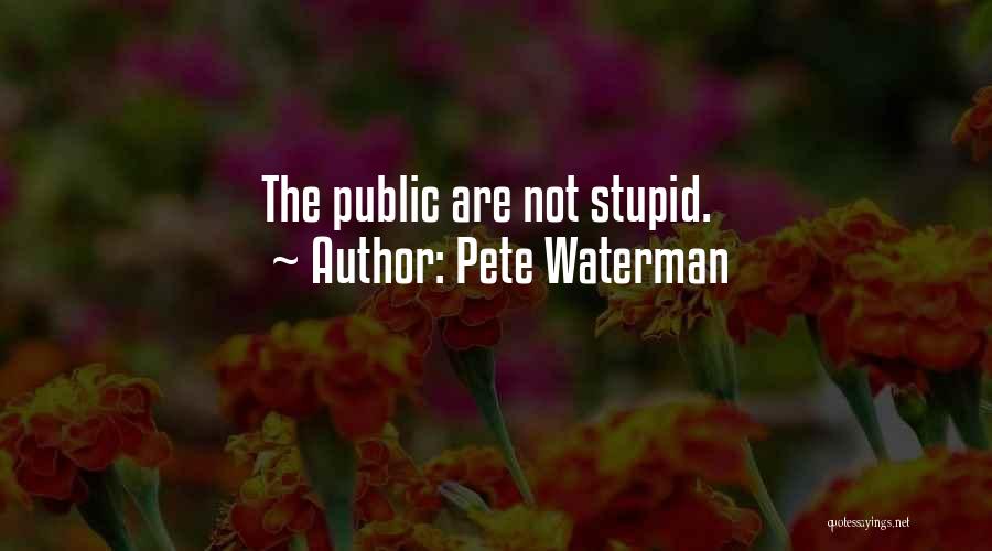 Pete Waterman Quotes: The Public Are Not Stupid.