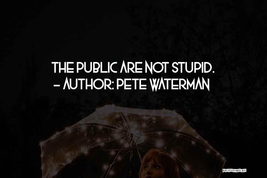 Pete Waterman Quotes: The Public Are Not Stupid.