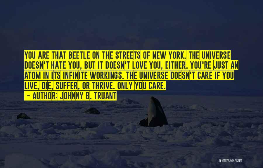 Johnny B. Truant Quotes: You Are That Beetle On The Streets Of New York. The Universe Doesn't Hate You, But It Doesn't Love You,