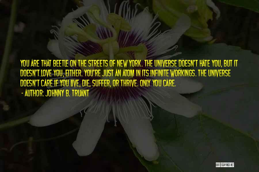 Johnny B. Truant Quotes: You Are That Beetle On The Streets Of New York. The Universe Doesn't Hate You, But It Doesn't Love You,