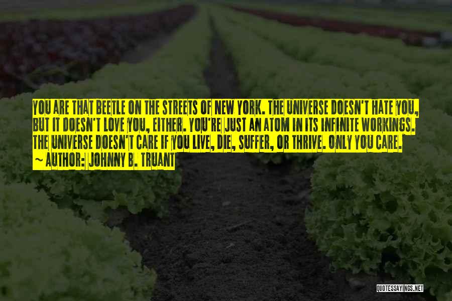 Johnny B. Truant Quotes: You Are That Beetle On The Streets Of New York. The Universe Doesn't Hate You, But It Doesn't Love You,