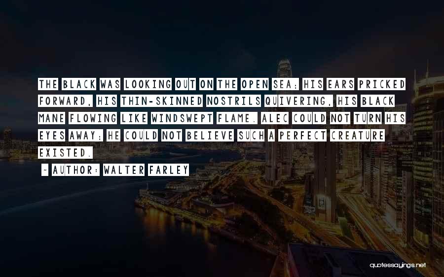 Walter Farley Quotes: The Black Was Looking Out On The Open Sea; His Ears Pricked Forward, His Thin-skinned Nostrils Quivering, His Black Mane