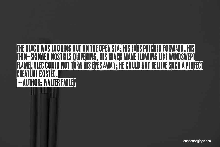 Walter Farley Quotes: The Black Was Looking Out On The Open Sea; His Ears Pricked Forward, His Thin-skinned Nostrils Quivering, His Black Mane