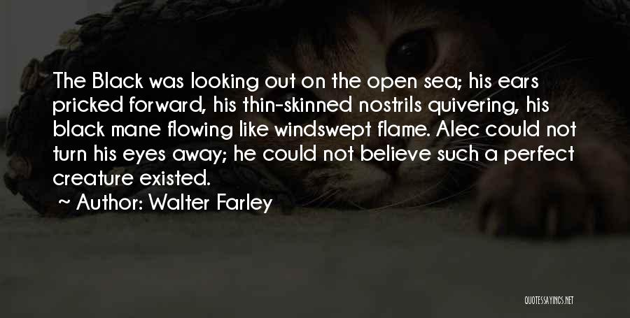 Walter Farley Quotes: The Black Was Looking Out On The Open Sea; His Ears Pricked Forward, His Thin-skinned Nostrils Quivering, His Black Mane