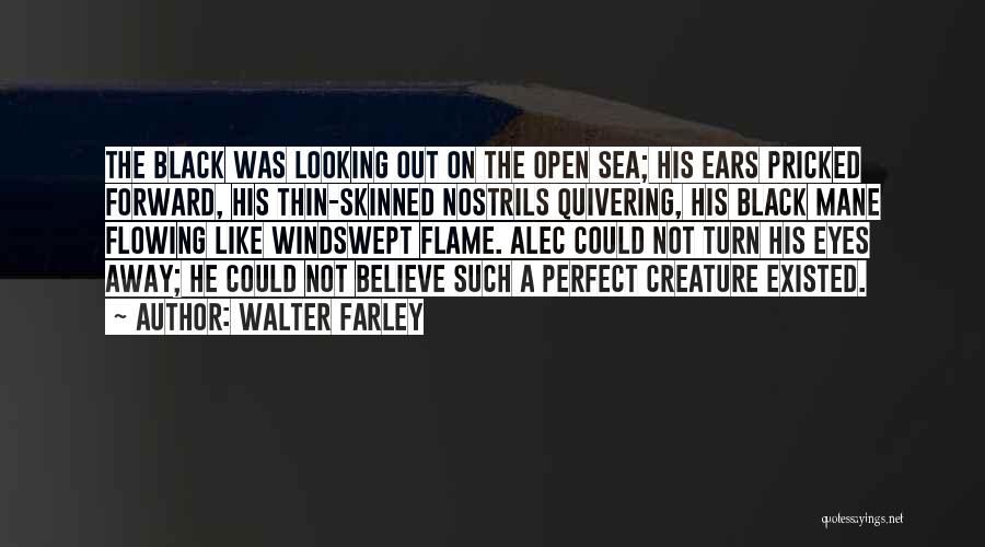 Walter Farley Quotes: The Black Was Looking Out On The Open Sea; His Ears Pricked Forward, His Thin-skinned Nostrils Quivering, His Black Mane