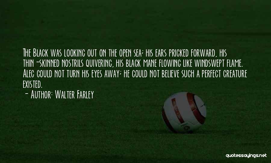 Walter Farley Quotes: The Black Was Looking Out On The Open Sea; His Ears Pricked Forward, His Thin-skinned Nostrils Quivering, His Black Mane