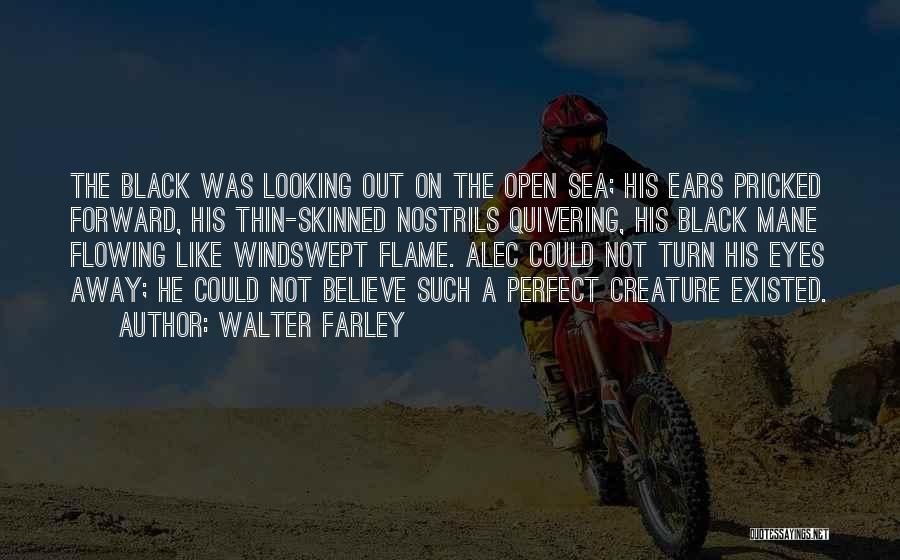Walter Farley Quotes: The Black Was Looking Out On The Open Sea; His Ears Pricked Forward, His Thin-skinned Nostrils Quivering, His Black Mane