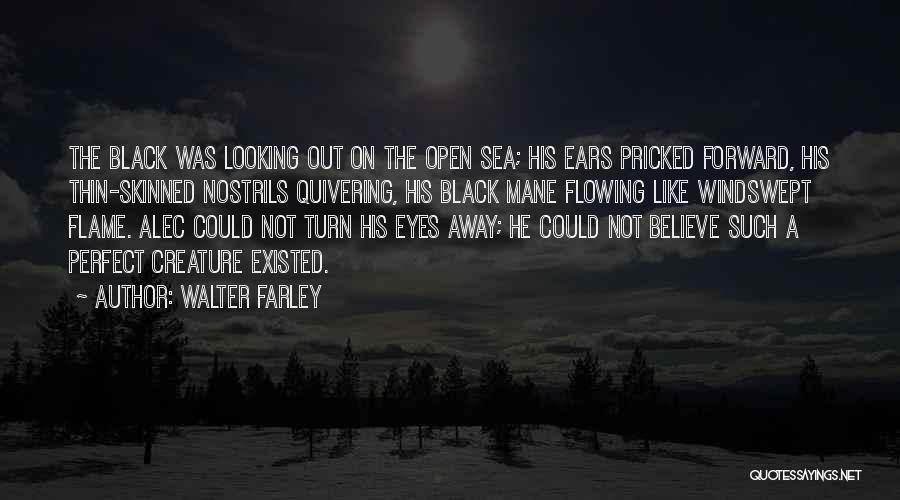 Walter Farley Quotes: The Black Was Looking Out On The Open Sea; His Ears Pricked Forward, His Thin-skinned Nostrils Quivering, His Black Mane