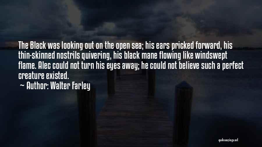 Walter Farley Quotes: The Black Was Looking Out On The Open Sea; His Ears Pricked Forward, His Thin-skinned Nostrils Quivering, His Black Mane