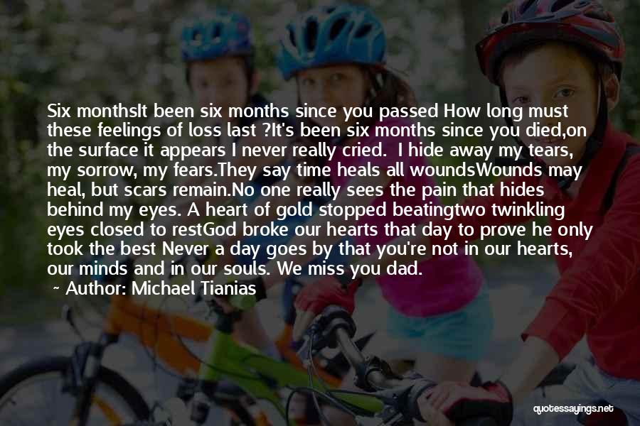 Michael Tianias Quotes: Six Monthsit Been Six Months Since You Passed How Long Must These Feelings Of Loss Last ?it's Been Six Months