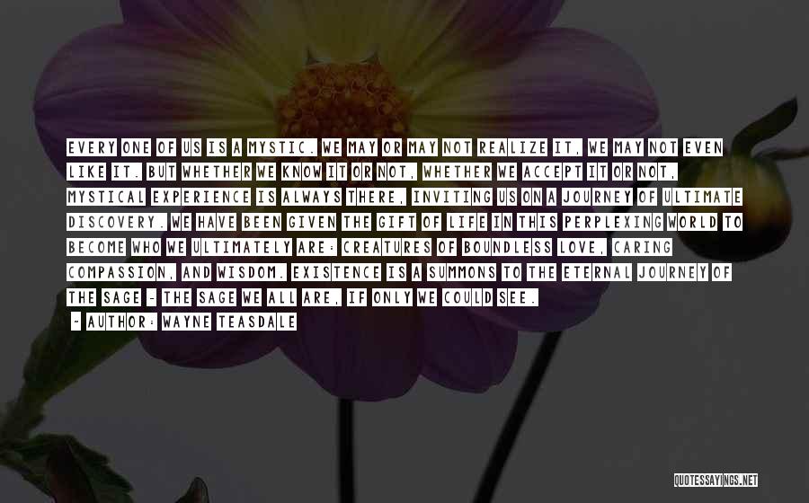 Wayne Teasdale Quotes: Every One Of Us Is A Mystic. We May Or May Not Realize It, We May Not Even Like It.