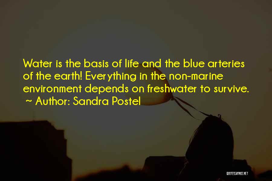 Sandra Postel Quotes: Water Is The Basis Of Life And The Blue Arteries Of The Earth! Everything In The Non-marine Environment Depends On