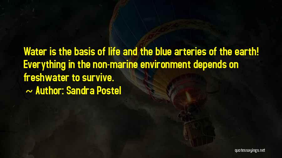 Sandra Postel Quotes: Water Is The Basis Of Life And The Blue Arteries Of The Earth! Everything In The Non-marine Environment Depends On