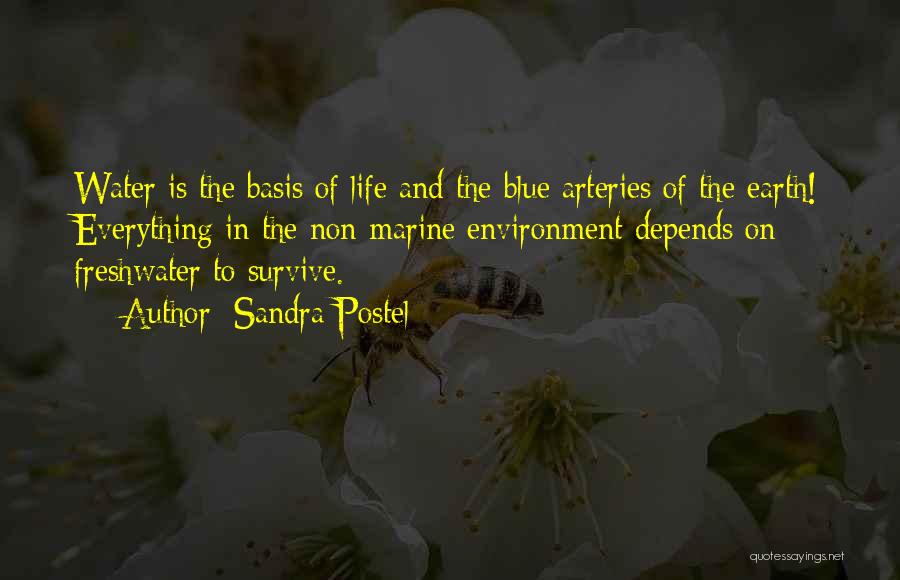 Sandra Postel Quotes: Water Is The Basis Of Life And The Blue Arteries Of The Earth! Everything In The Non-marine Environment Depends On