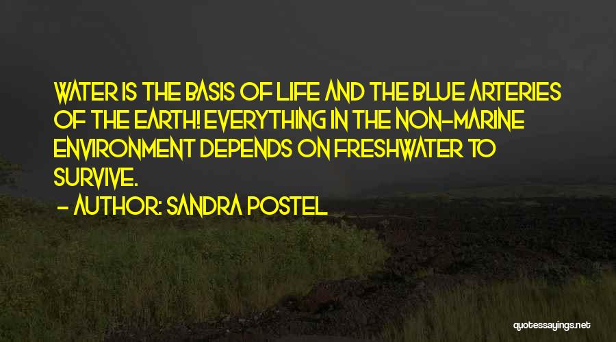 Sandra Postel Quotes: Water Is The Basis Of Life And The Blue Arteries Of The Earth! Everything In The Non-marine Environment Depends On