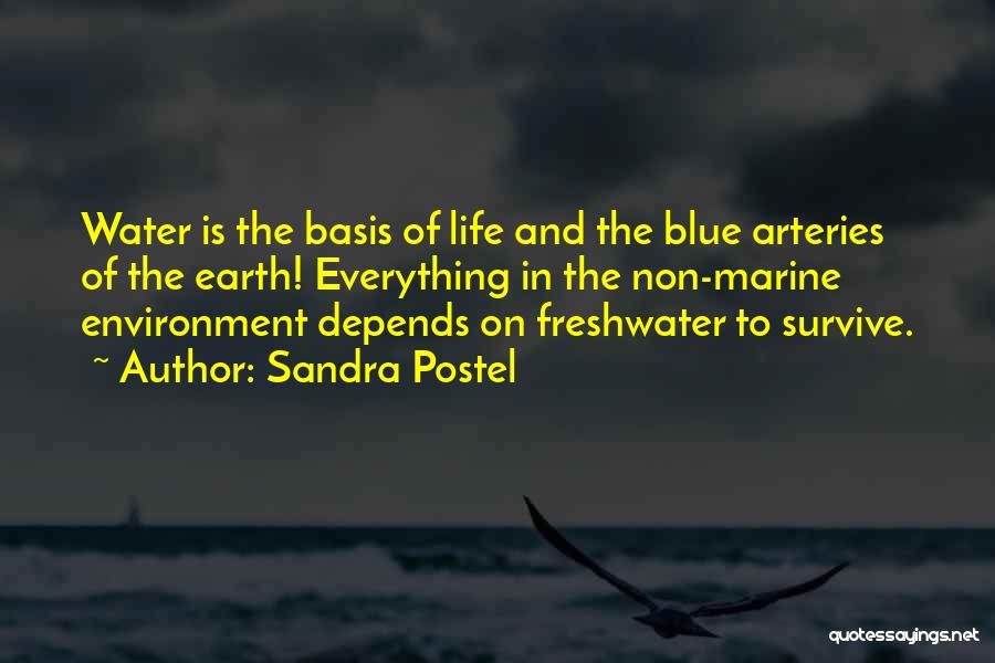 Sandra Postel Quotes: Water Is The Basis Of Life And The Blue Arteries Of The Earth! Everything In The Non-marine Environment Depends On