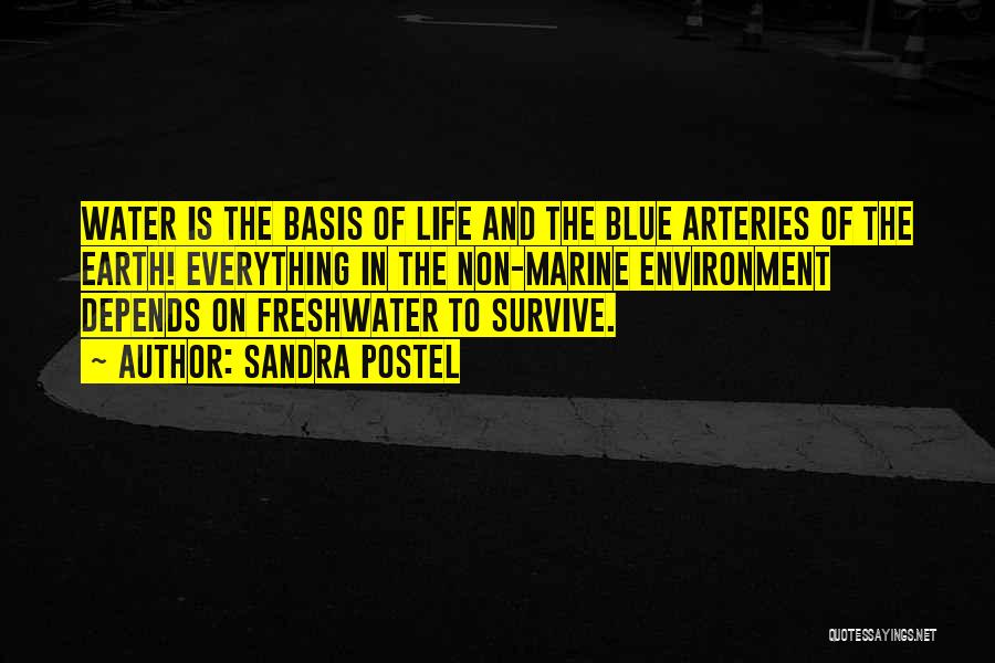 Sandra Postel Quotes: Water Is The Basis Of Life And The Blue Arteries Of The Earth! Everything In The Non-marine Environment Depends On