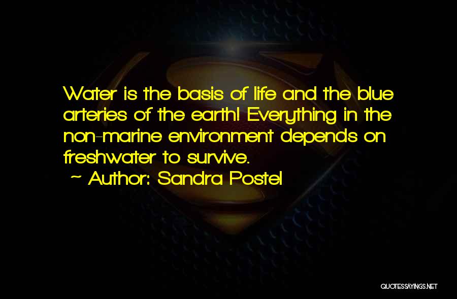 Sandra Postel Quotes: Water Is The Basis Of Life And The Blue Arteries Of The Earth! Everything In The Non-marine Environment Depends On