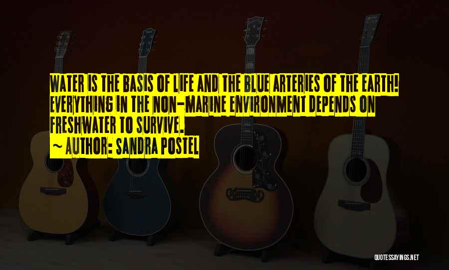 Sandra Postel Quotes: Water Is The Basis Of Life And The Blue Arteries Of The Earth! Everything In The Non-marine Environment Depends On