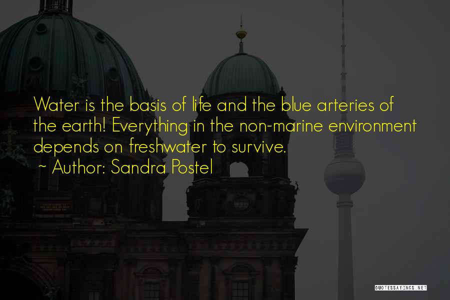 Sandra Postel Quotes: Water Is The Basis Of Life And The Blue Arteries Of The Earth! Everything In The Non-marine Environment Depends On