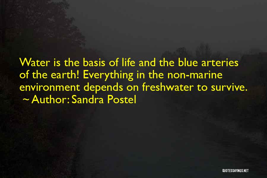 Sandra Postel Quotes: Water Is The Basis Of Life And The Blue Arteries Of The Earth! Everything In The Non-marine Environment Depends On