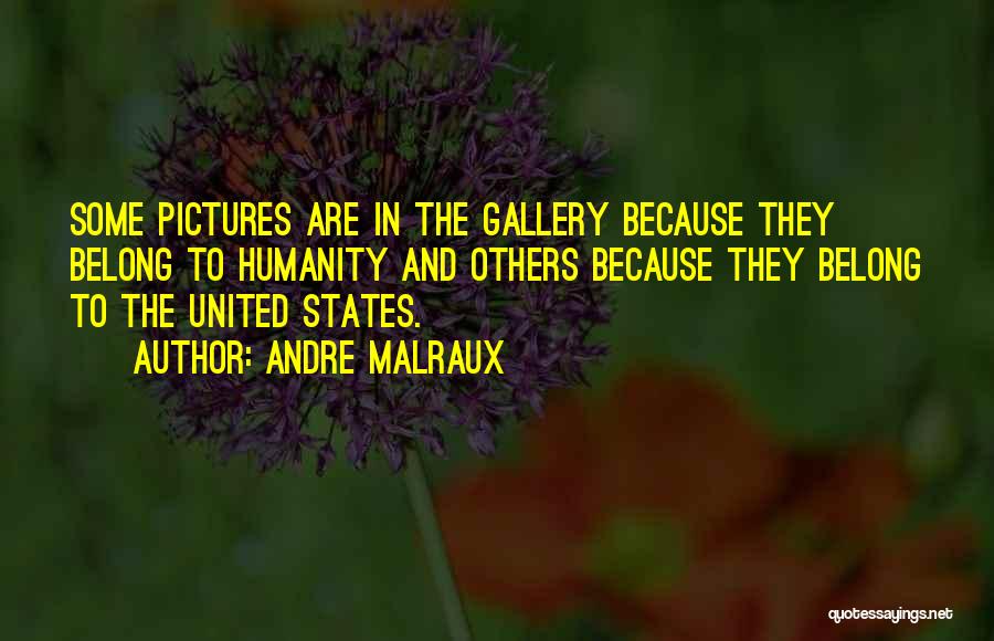 Andre Malraux Quotes: Some Pictures Are In The Gallery Because They Belong To Humanity And Others Because They Belong To The United States.