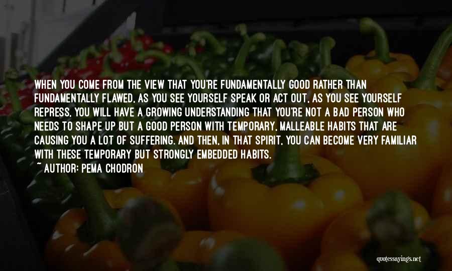 Pema Chodron Quotes: When You Come From The View That You're Fundamentally Good Rather Than Fundamentally Flawed, As You See Yourself Speak Or