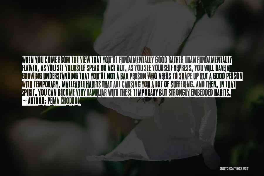 Pema Chodron Quotes: When You Come From The View That You're Fundamentally Good Rather Than Fundamentally Flawed, As You See Yourself Speak Or