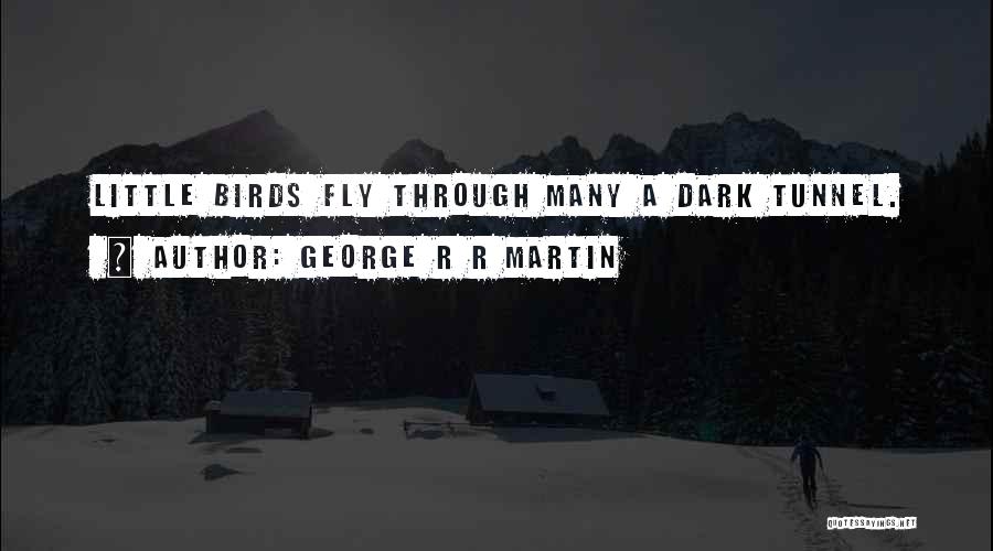 George R R Martin Quotes: Little Birds Fly Through Many A Dark Tunnel.