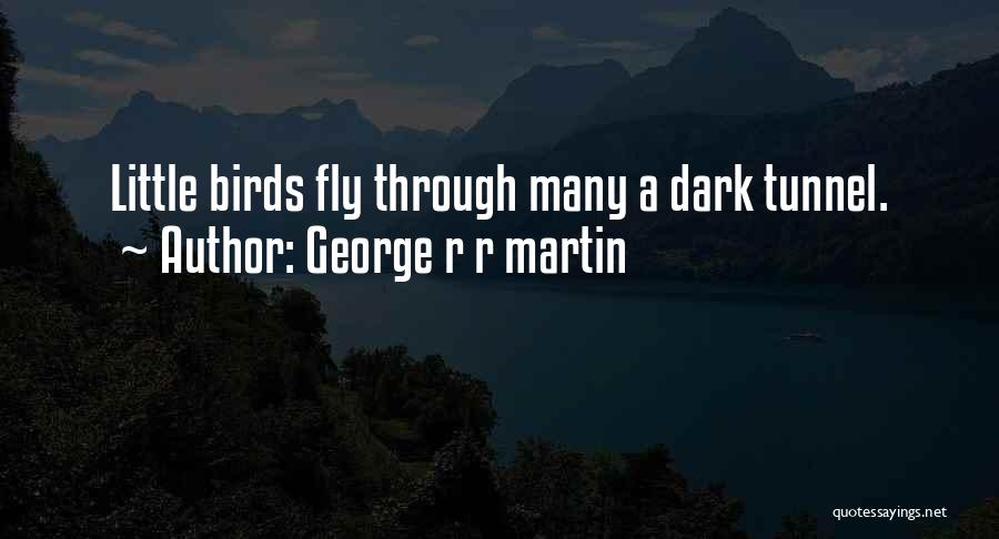 George R R Martin Quotes: Little Birds Fly Through Many A Dark Tunnel.