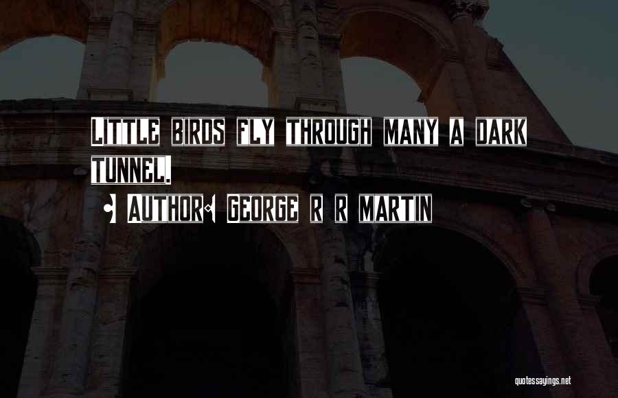 George R R Martin Quotes: Little Birds Fly Through Many A Dark Tunnel.