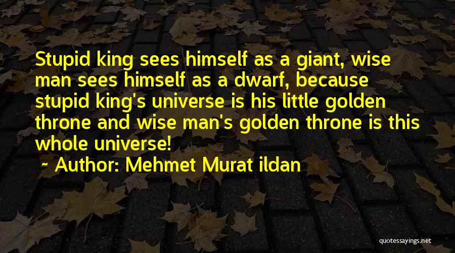 Mehmet Murat Ildan Quotes: Stupid King Sees Himself As A Giant, Wise Man Sees Himself As A Dwarf, Because Stupid King's Universe Is His