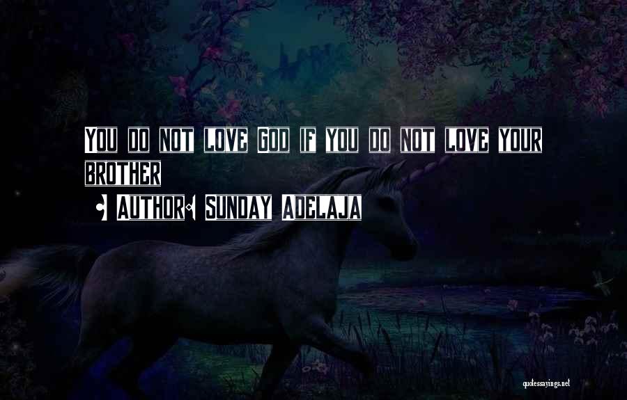 Sunday Adelaja Quotes: You Do Not Love God If You Do Not Love Your Brother