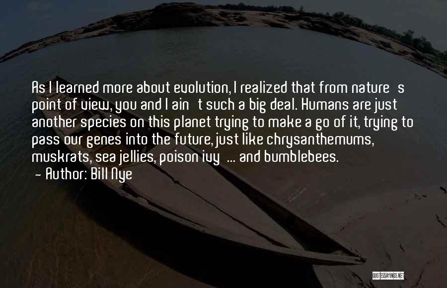 Bill Nye Quotes: As I Learned More About Evolution, I Realized That From Nature's Point Of View, You And I Ain't Such A