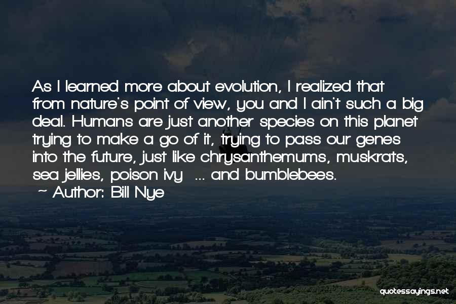 Bill Nye Quotes: As I Learned More About Evolution, I Realized That From Nature's Point Of View, You And I Ain't Such A