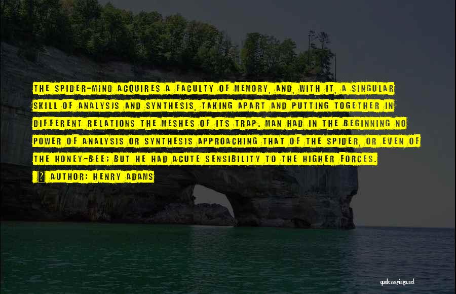 Henry Adams Quotes: The Spider-mind Acquires A Faculty Of Memory, And, With It, A Singular Skill Of Analysis And Synthesis, Taking Apart And