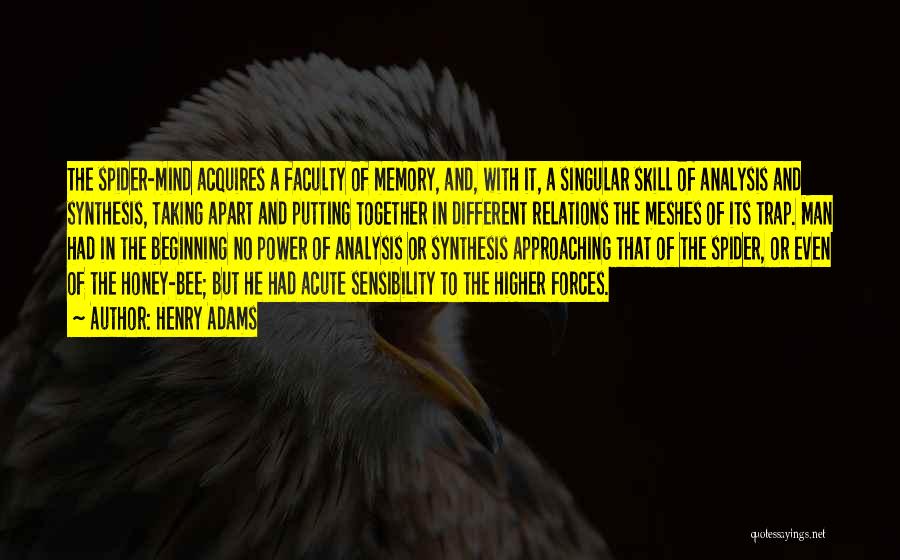 Henry Adams Quotes: The Spider-mind Acquires A Faculty Of Memory, And, With It, A Singular Skill Of Analysis And Synthesis, Taking Apart And