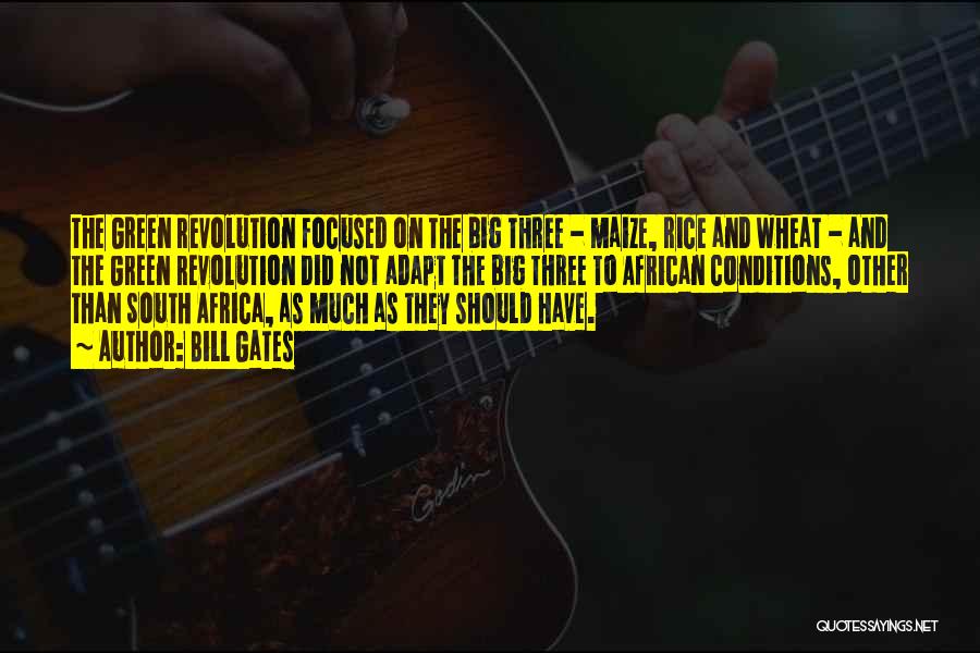 Bill Gates Quotes: The Green Revolution Focused On The Big Three - Maize, Rice And Wheat - And The Green Revolution Did Not