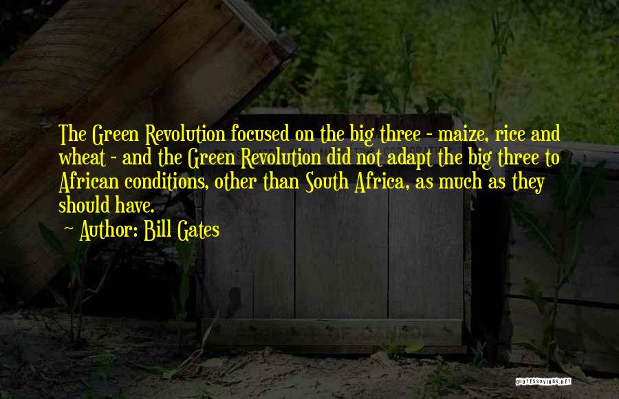 Bill Gates Quotes: The Green Revolution Focused On The Big Three - Maize, Rice And Wheat - And The Green Revolution Did Not