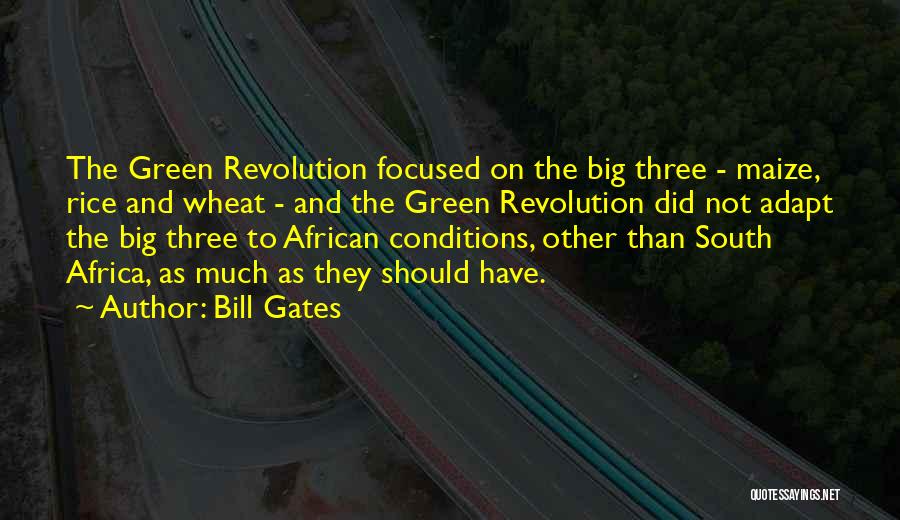 Bill Gates Quotes: The Green Revolution Focused On The Big Three - Maize, Rice And Wheat - And The Green Revolution Did Not