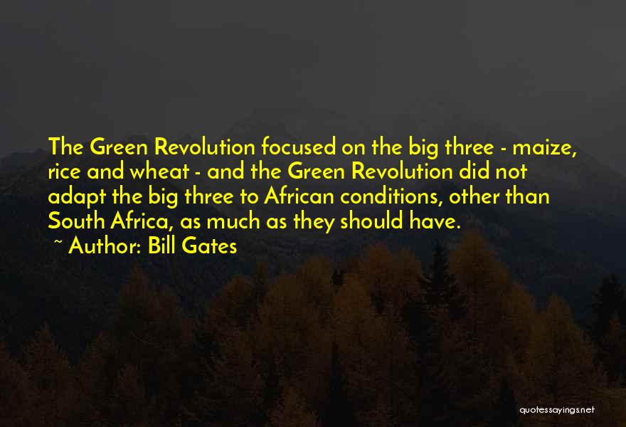 Bill Gates Quotes: The Green Revolution Focused On The Big Three - Maize, Rice And Wheat - And The Green Revolution Did Not