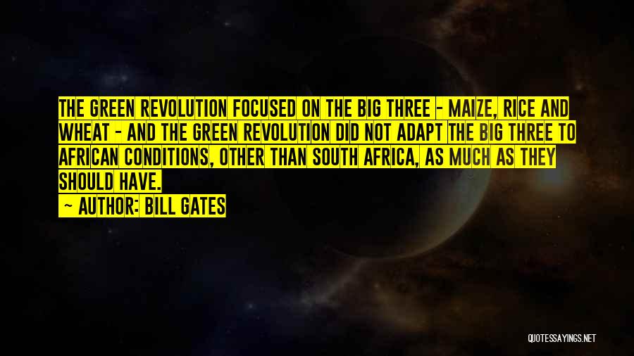 Bill Gates Quotes: The Green Revolution Focused On The Big Three - Maize, Rice And Wheat - And The Green Revolution Did Not